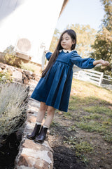 Teela Velvet Dress