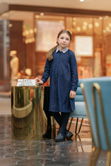 Velvette Label Denim Striped Collar Dress