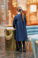 Velvette Label Denim Striped Collar Dress
