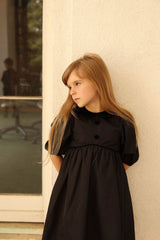 Bamboo Taffeta Velvet Collar Puff Sleeve Dress