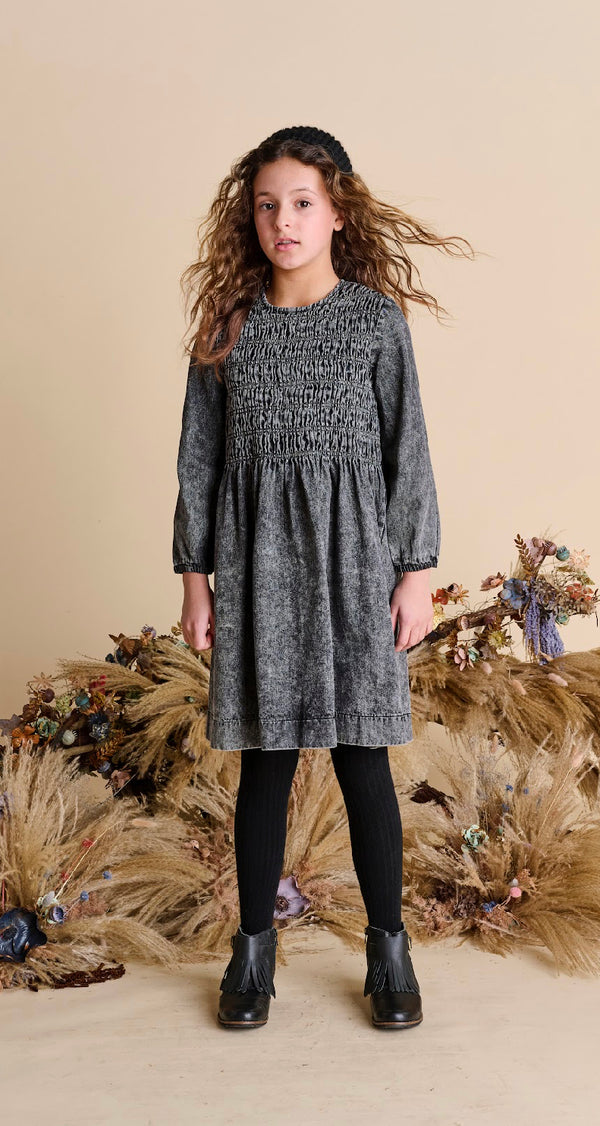 Porter Front Scrunching Denim Dress