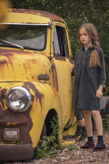 Jaybee Denim Shirtdress