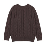 Analogie Chunky V Neck Sweater - Chocolate Brown